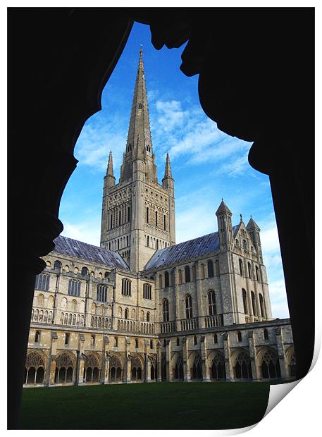 Norwich Cathedral from the Cloisters Print by Darren Burroughs