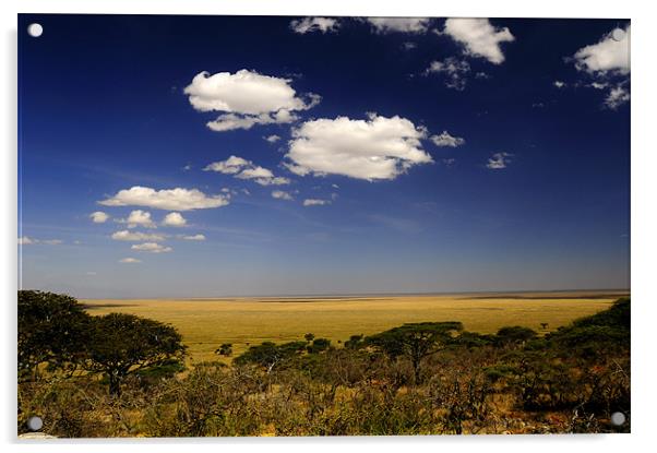 Serengeti's View Acrylic by Massimiliano Acquisti