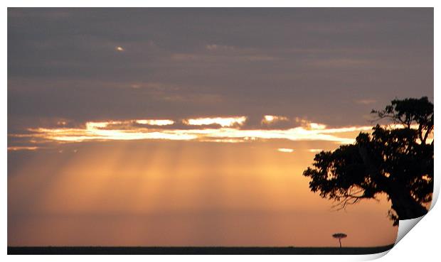 Sunset over plains of Africa Print by Madeline Harris