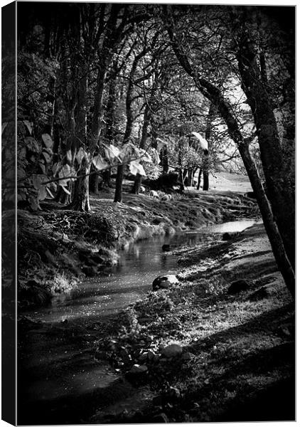 Stream running through trees in Yorkshire Canvas Print by Madeline Harris