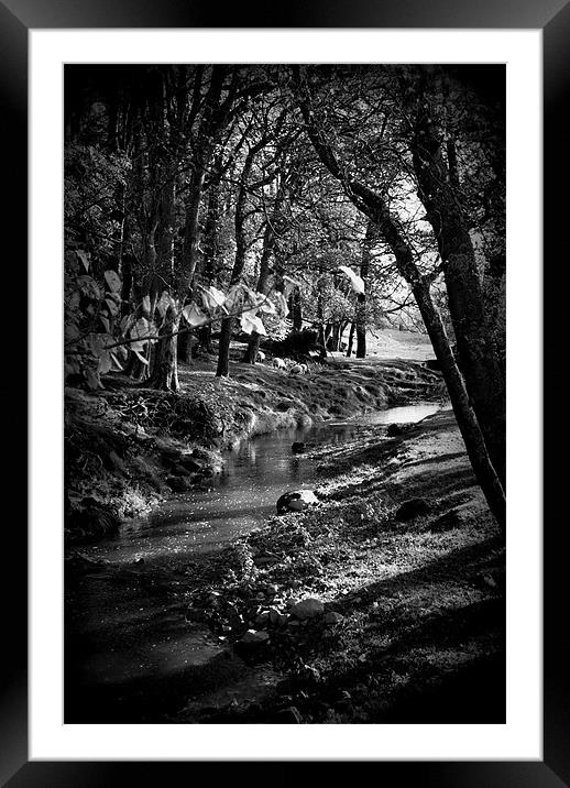 Stream running through trees in Yorkshire Framed Mounted Print by Madeline Harris
