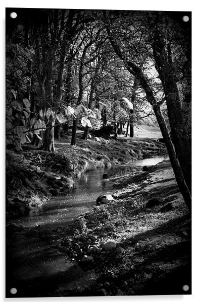 Stream running through trees in Yorkshire Acrylic by Madeline Harris