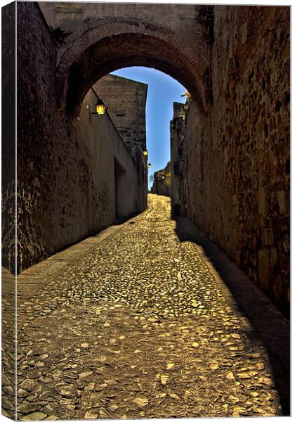 Old arch over narrow street in Caceres Canvas Print by Gabor Pozsgai