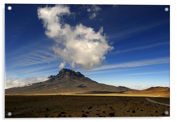 Mount Mawenzi Acrylic by Massimiliano Acquisti