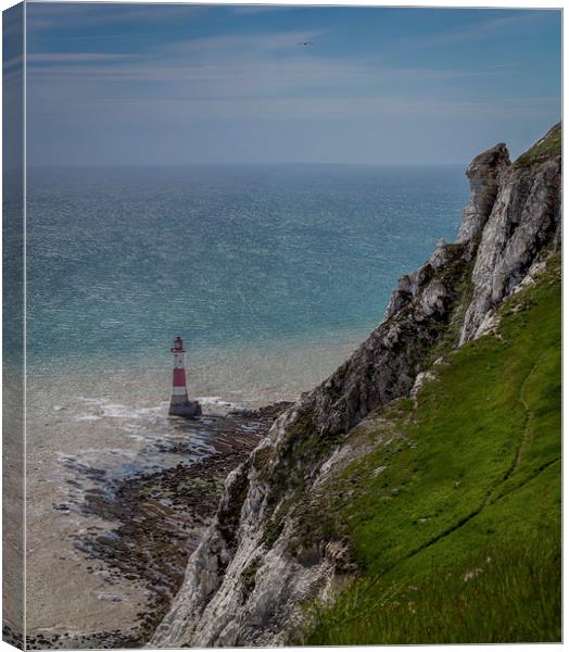 Beachyhead lighthouse Canvas Print by Gary Schulze
