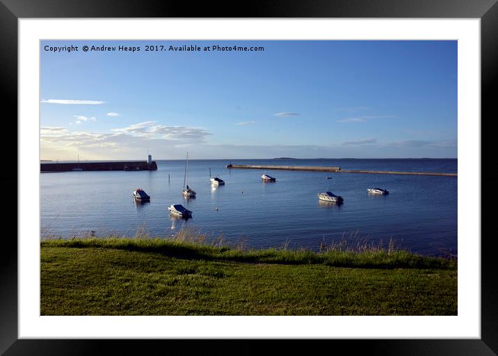 Harbour scene in Seahouses. Framed Mounted Print by Andrew Heaps