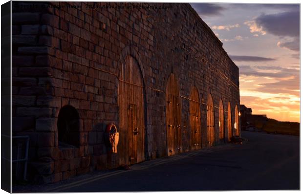 Sunlight on harbour doors Canvas Print by Andrew Heaps