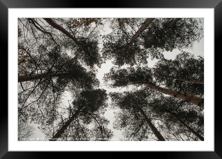 Canopy Framed Mounted Print by Chris Horsnell