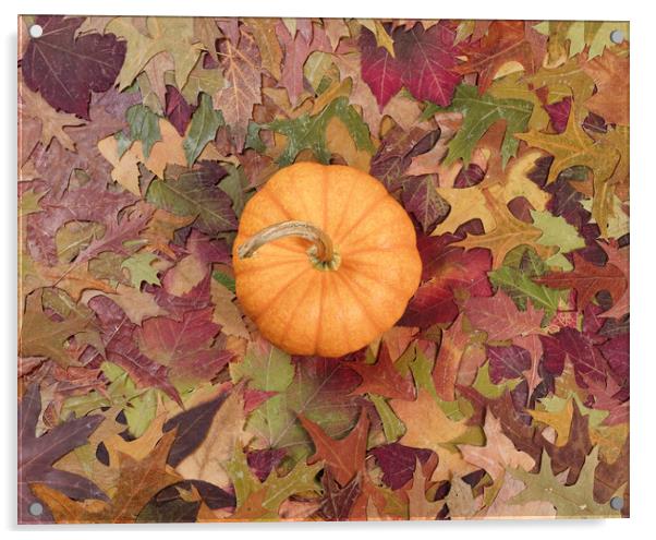 Real pumpkin surrounded with fading Autumn foliage Acrylic by Thomas Baker
