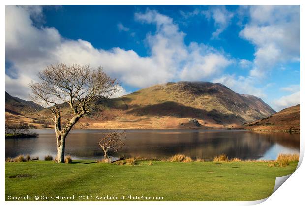 Buttermere Reflections Print by Chris Horsnell
