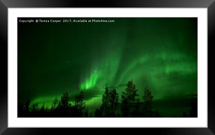 The Aurora Borealis Dances Across the Sky Framed Mounted Print by Teresa Cooper