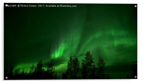 The Aurora Borealis Dances Across the Sky Acrylic by Teresa Cooper
