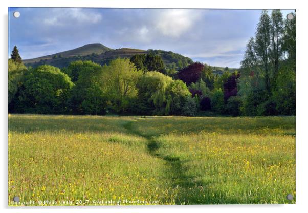 Sugar Loaf from Castle Meadows, Abergavenny. Acrylic by Philip Veale
