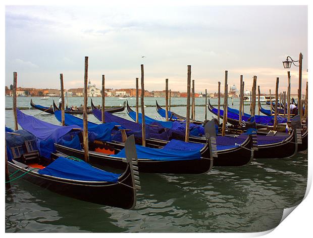 Evening Gondolas in Venice Print by Lucy Antony