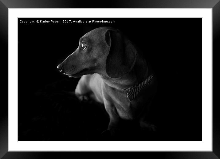 Larry Dog Framed Mounted Print by Karley Powell