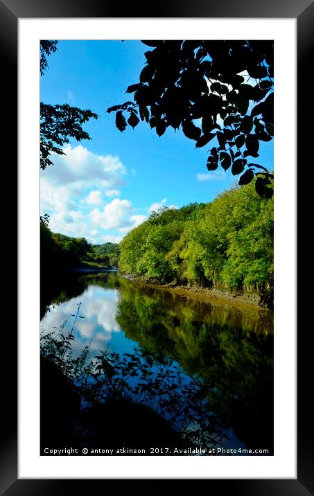 River bank Framed Mounted Print by Antony Atkinson