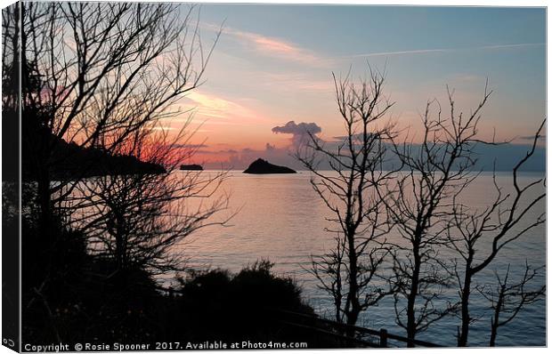 Sunrise at Meadfoot Beach in Torquay through the t Canvas Print by Rosie Spooner