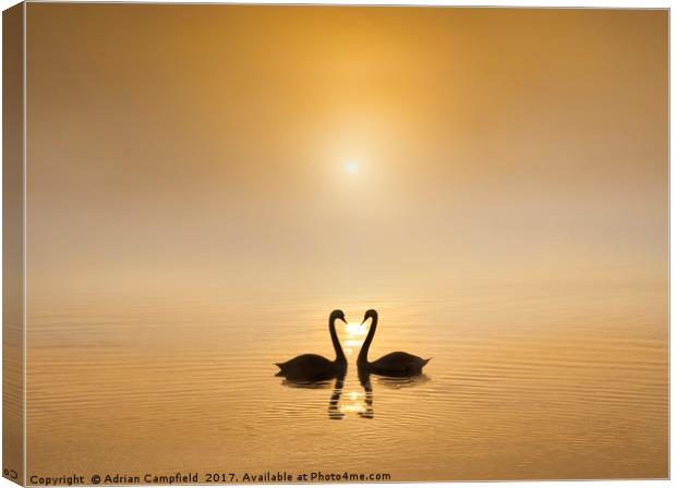 River Darent, Kent at Sunrise  Canvas Print by Adrian Campfield
