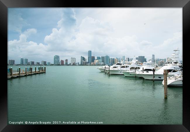 Miami view from marina Framed Print by Angela Bragato
