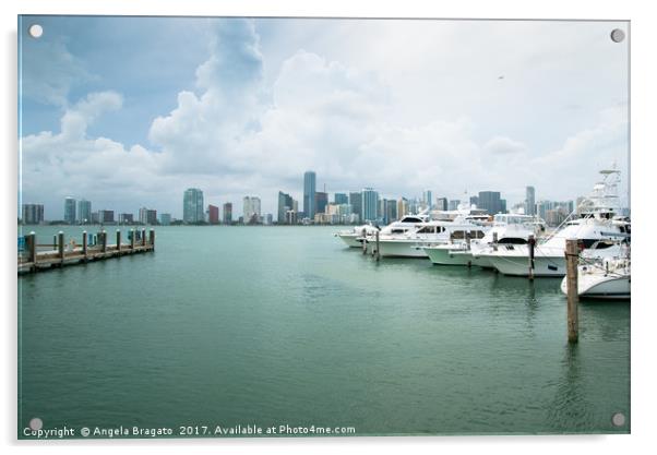Miami view from marina Acrylic by Angela Bragato