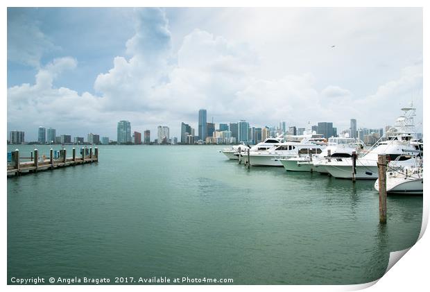 Miami view from marina Print by Angela Bragato