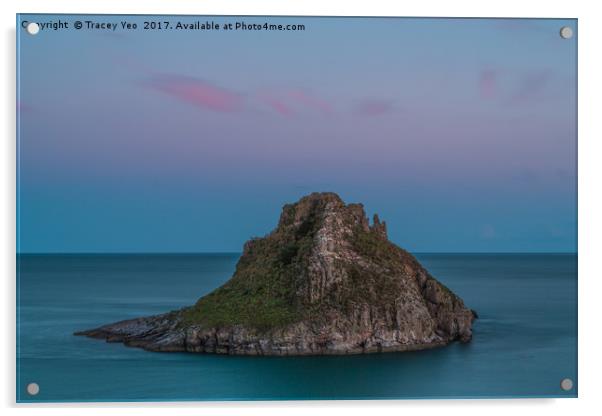 Thatcher Rock Torquay at Sunset   Acrylic by Tracey Yeo
