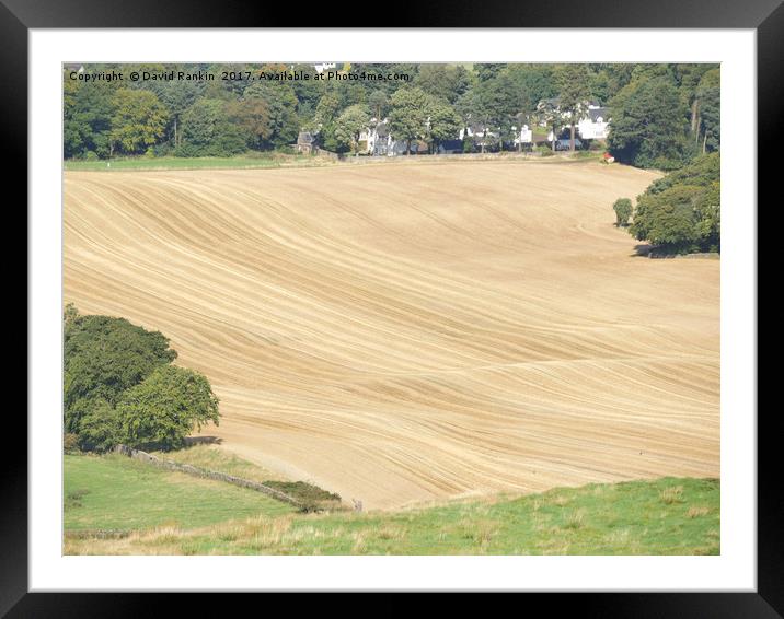 crop lines in wheat field near Linlithgow, West Lo Framed Mounted Print by Photogold Prints