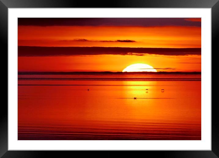 Winter sunset over the sea Framed Mounted Print by Dave Bradley