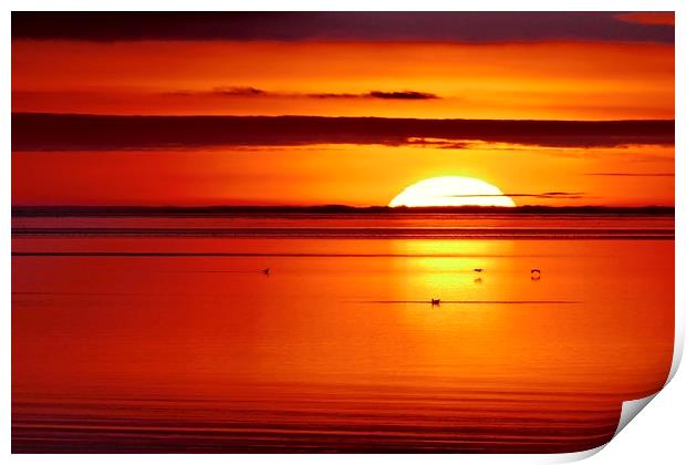 Winter sunset over the sea Print by Dave Bradley
