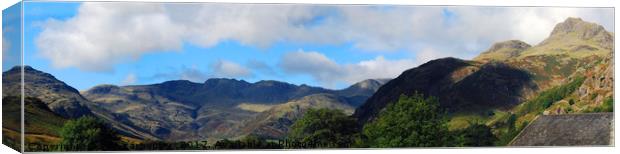 langdale view Canvas Print by eric carpenter