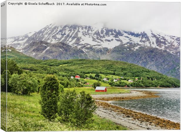 Summer on Lyngenfjord Canvas Print by Gisela Scheffbuch