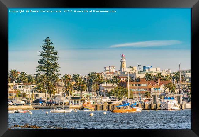 Punta del Este Port, Uruguay Framed Print by Daniel Ferreira-Leite