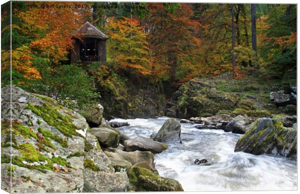 The Hermitage, Dunkeld, Scotland Canvas Print by Bill Spiers