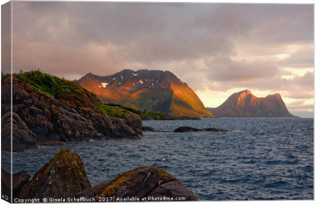 The Mountains of Senja in the Midnight Sun Canvas Print by Gisela Scheffbuch
