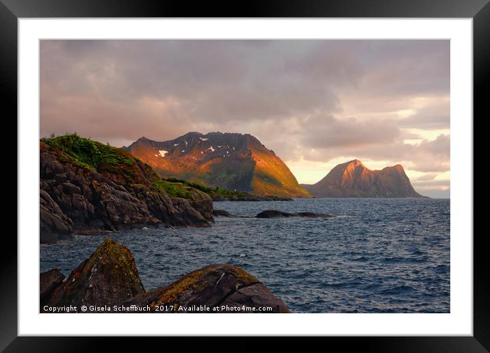 The Mountains of Senja in the Midnight Sun Framed Mounted Print by Gisela Scheffbuch