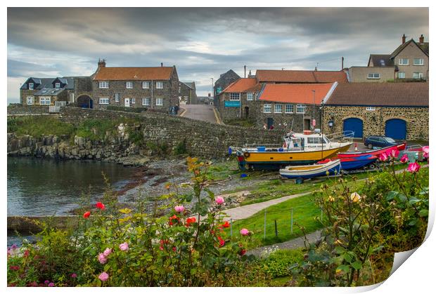 Craster Harbour Print by John Ellis