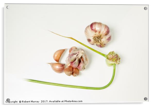Garlic Acrylic by Robert Murray