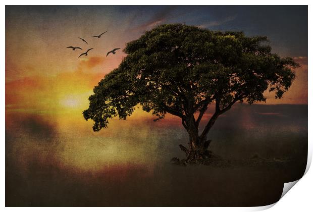 African Tree Print by David Owen