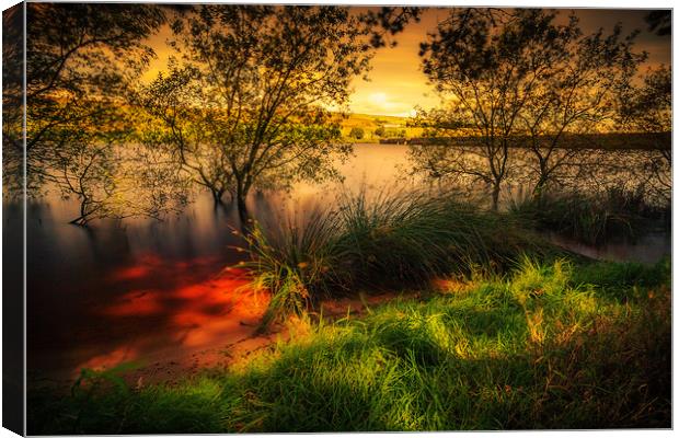 BE0015S - Baitings Reservoir - Standard Canvas Print by Robin Cunningham