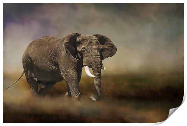 Rogue elephant Print by David Owen