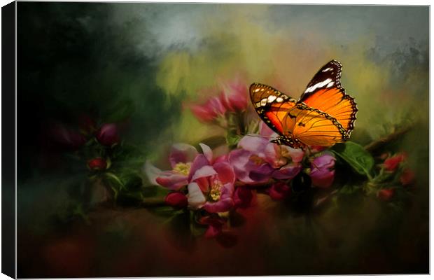 Butterfly in Arusha, East Africa Canvas Print by David Owen