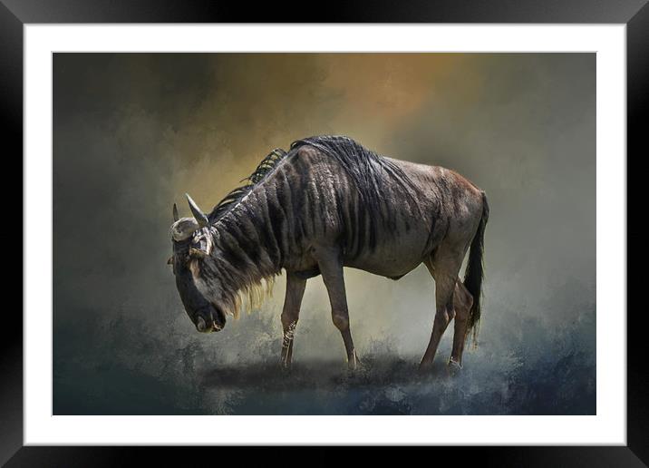 The Wild Beauty of the East Framed Mounted Print by David Owen