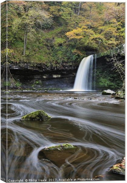 Sgwd Gwladus, aka Lady's Falls in Autumn. Canvas Print by Philip Veale