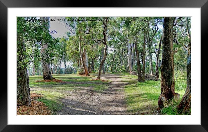 Bush Track - Landscape. Framed Mounted Print by Geoff Childs