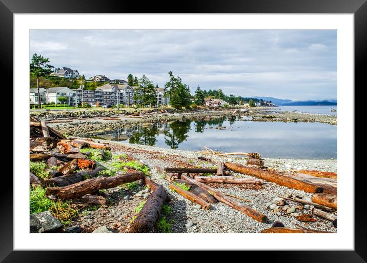 Driftwood logs at Campbell River Framed Mounted Print by Alf Damp