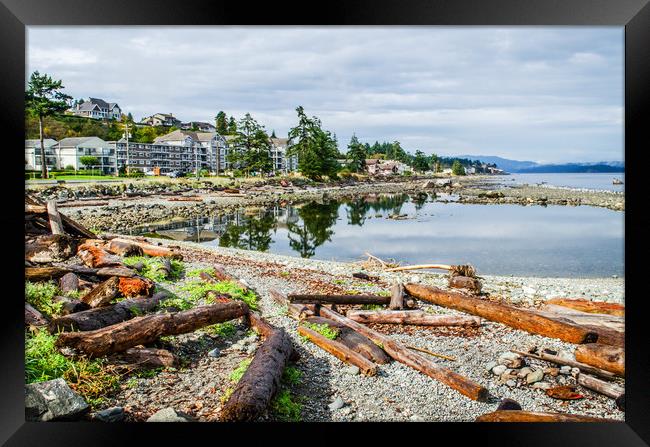 Driftwood logs at Campbell River Framed Print by Alf Damp