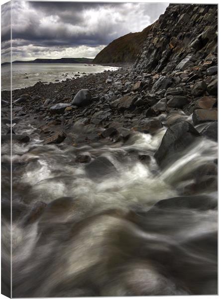 Waters Meet At Bucks Mill Canvas Print by Mike Gorton