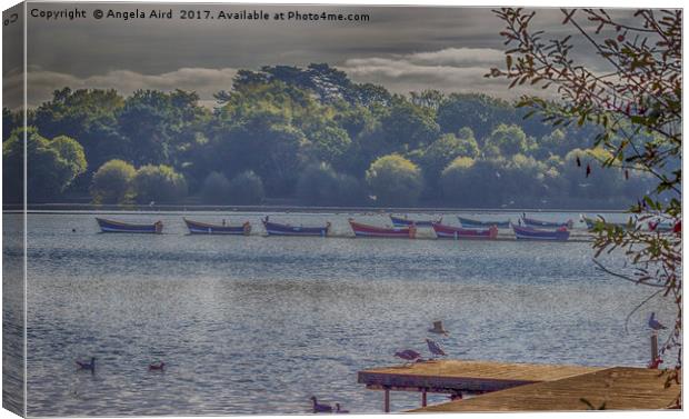 Petersfield Lake. Canvas Print by Angela Aird