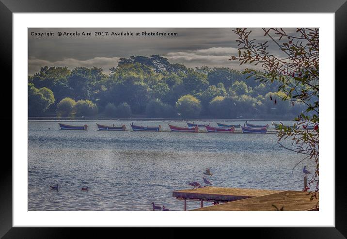 Petersfield Lake. Framed Mounted Print by Angela Aird