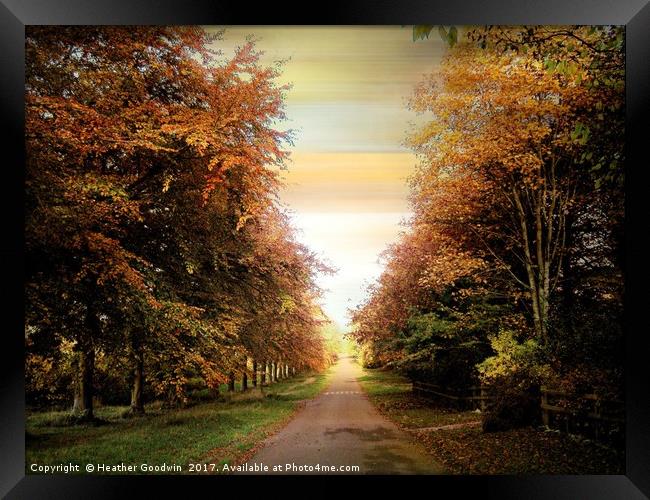 Autumn Exposure Framed Print by Heather Goodwin